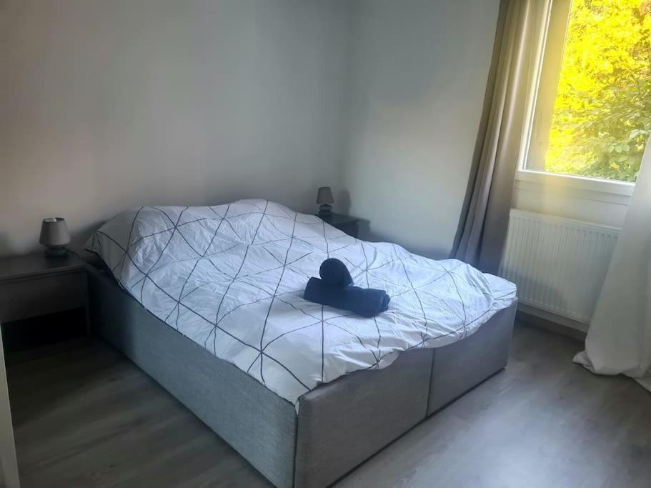 Joli Vue Montagne, Cosy Avec Jardin * Bonneville