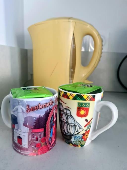 Joli Vue Montagne, Cosy Avec Jardin Appartement Bonneville